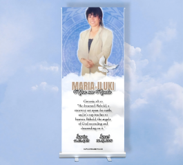 Pull Up Banner